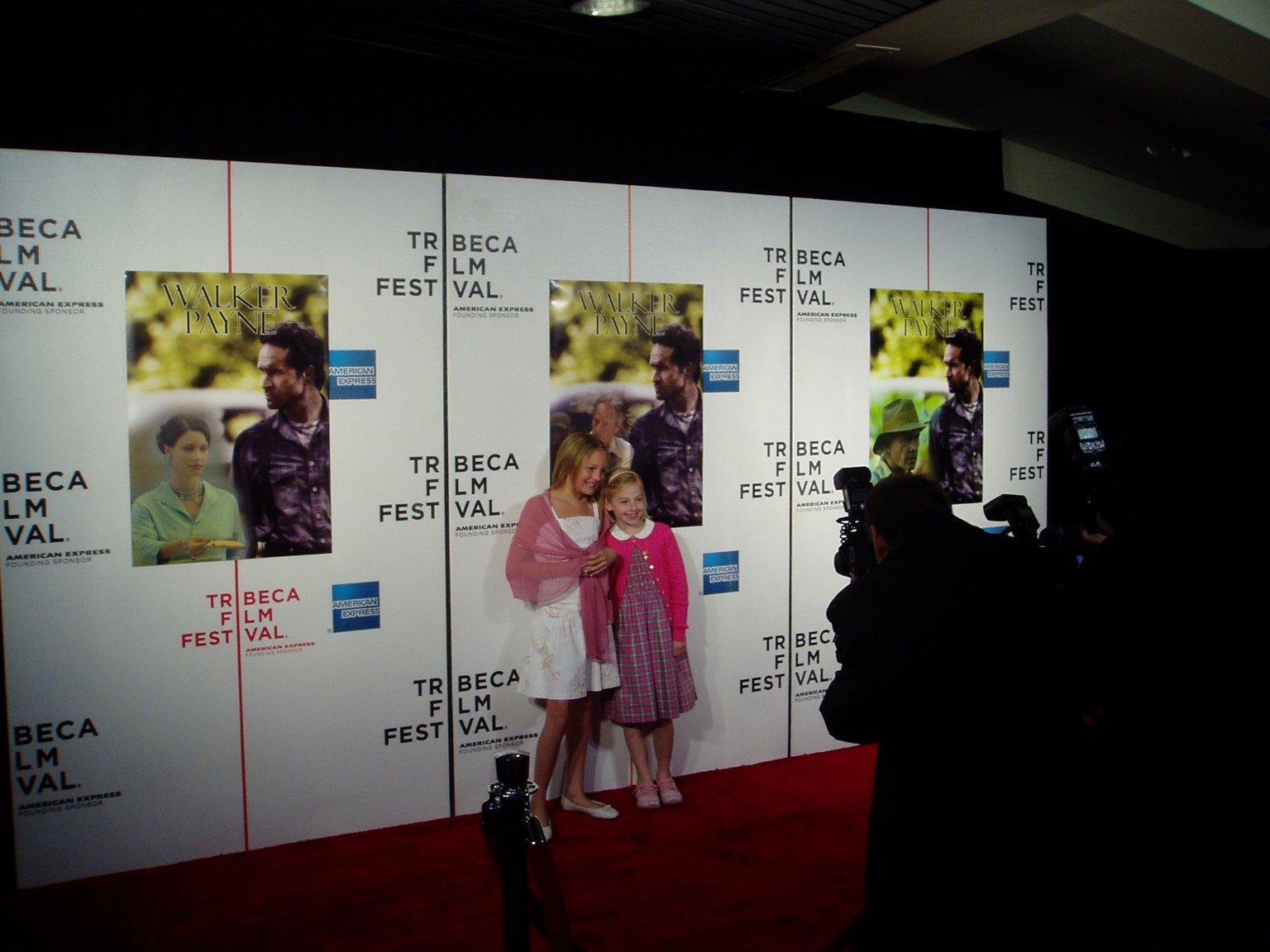 Фото - Гэбриэлль Бреннан: 1536x1152 / 175 Кб