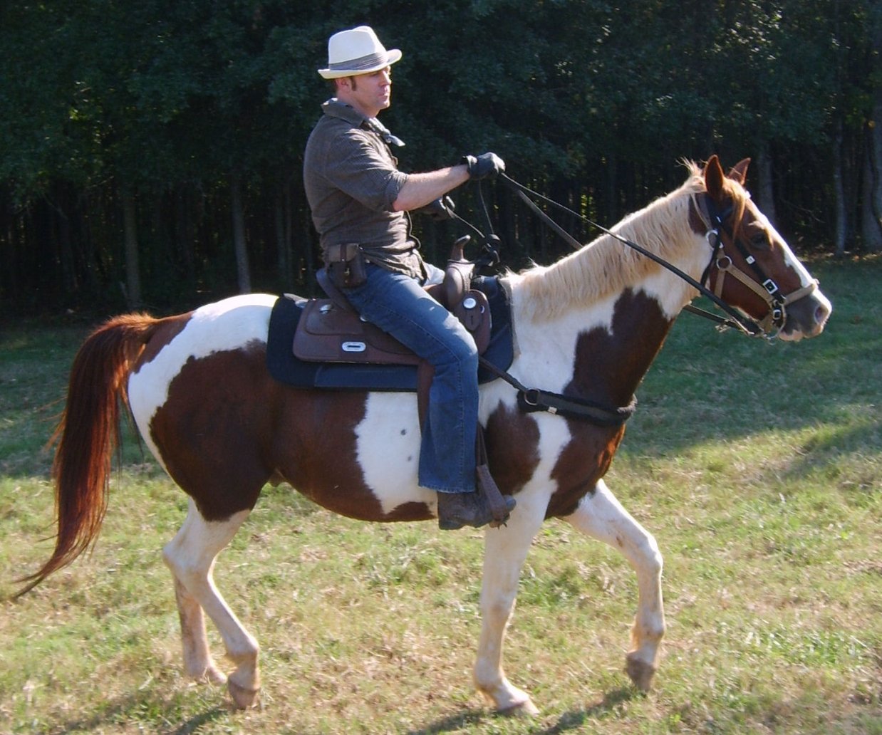 Фото - Philippe Vonlanthen: 1238x1032 / 231 Кб