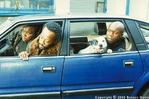 Фото - Эд: 300x200 / 20 Кб