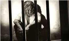 Фото - Rajpal Yadav: 240x144 / 10 Кб