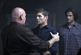 Фото - Джаред Падалеки: 341x233 / 13 Кб