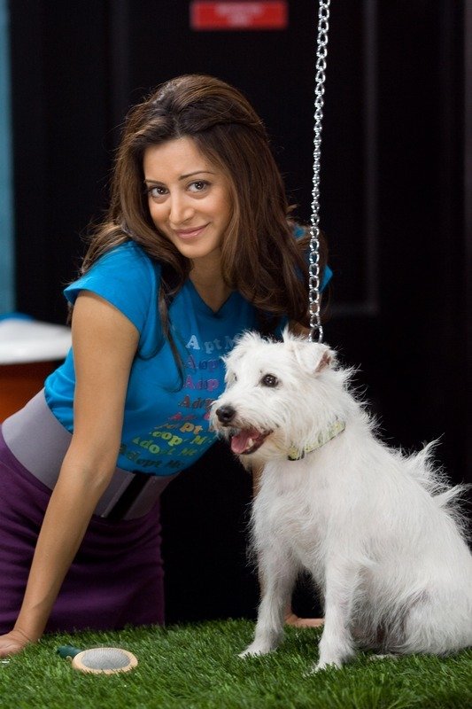 Фото - Норин ДеВулф: 533x800 / 80 Кб