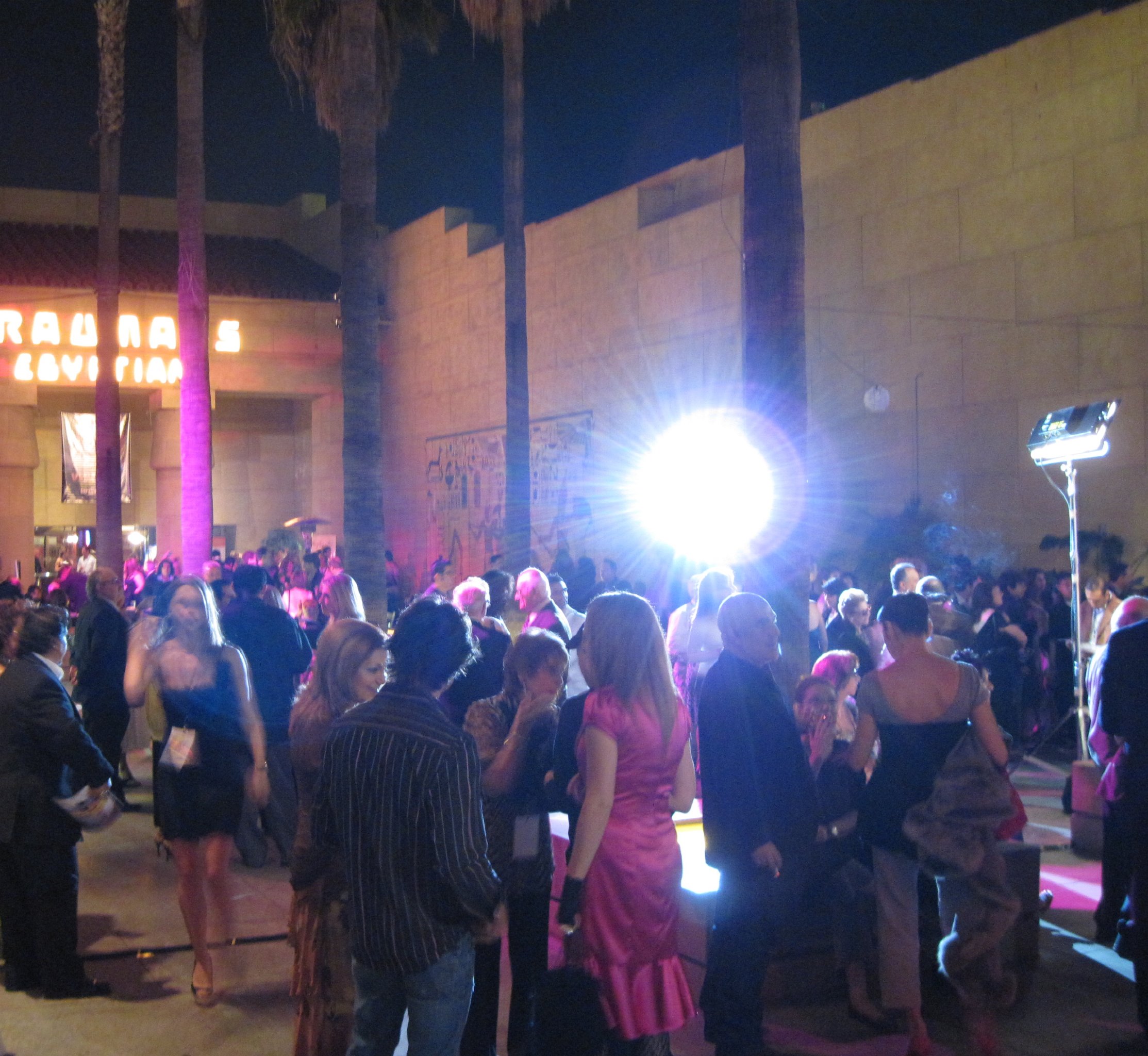 Фото - Susan Engel: 2227x2048 / 643 Кб