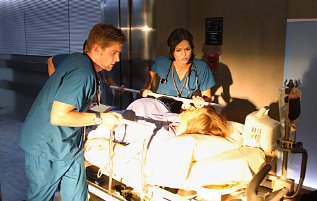 Фото - Майк Фогель: 317x201 / 20 Кб