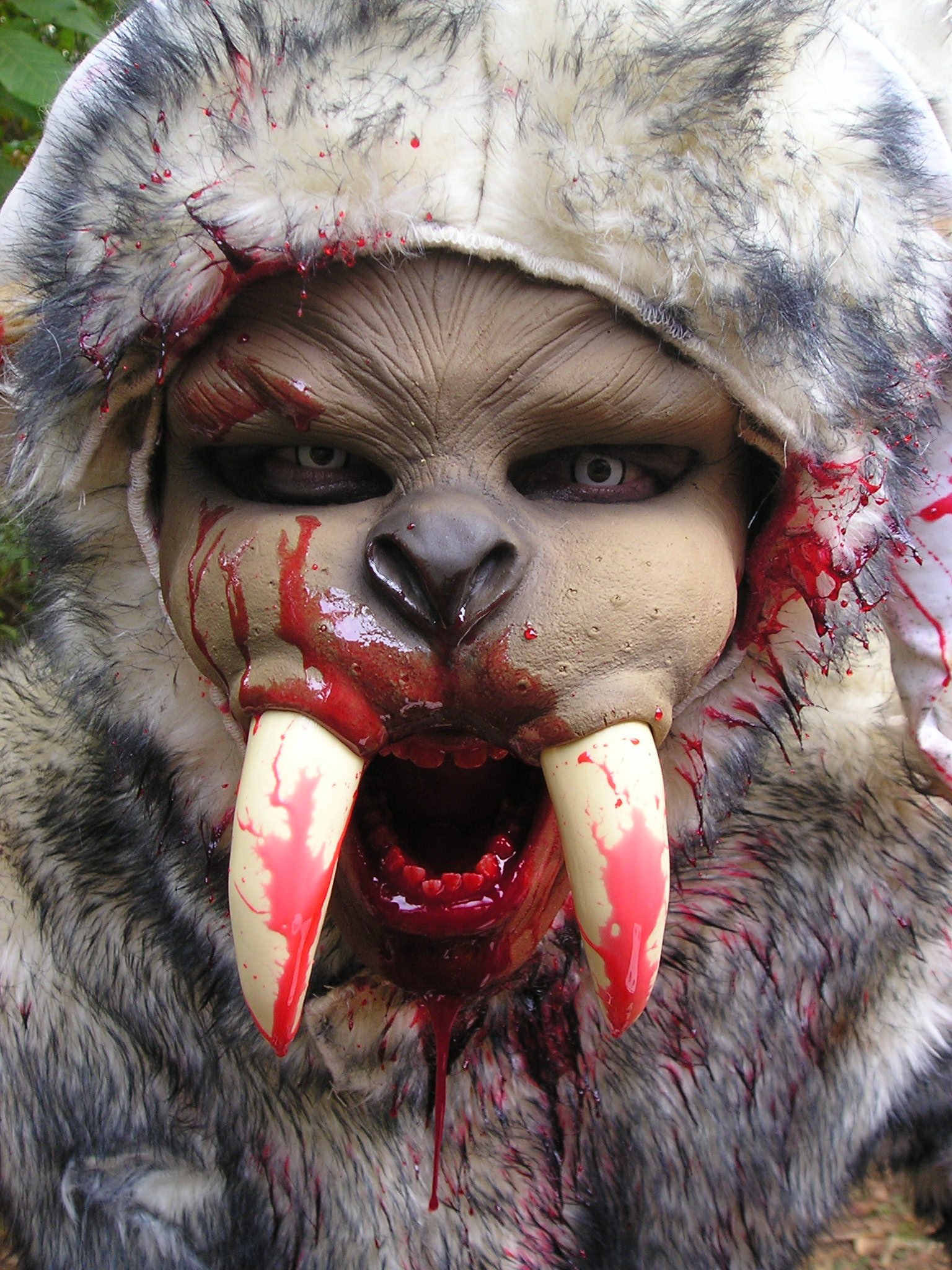 Фото - Крис Бернс: 1536x2048 / 622 Кб