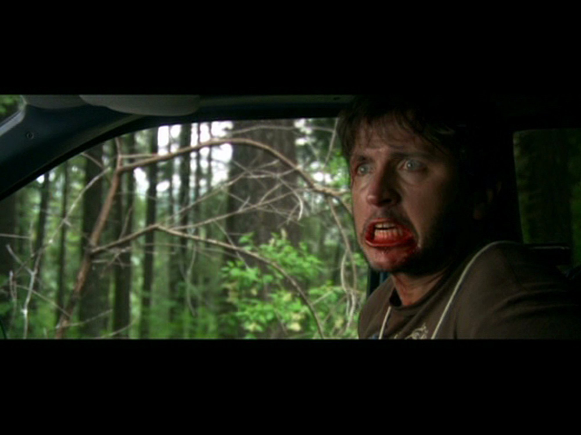 Фото - David Newham: 2000x1500 / 175 Кб