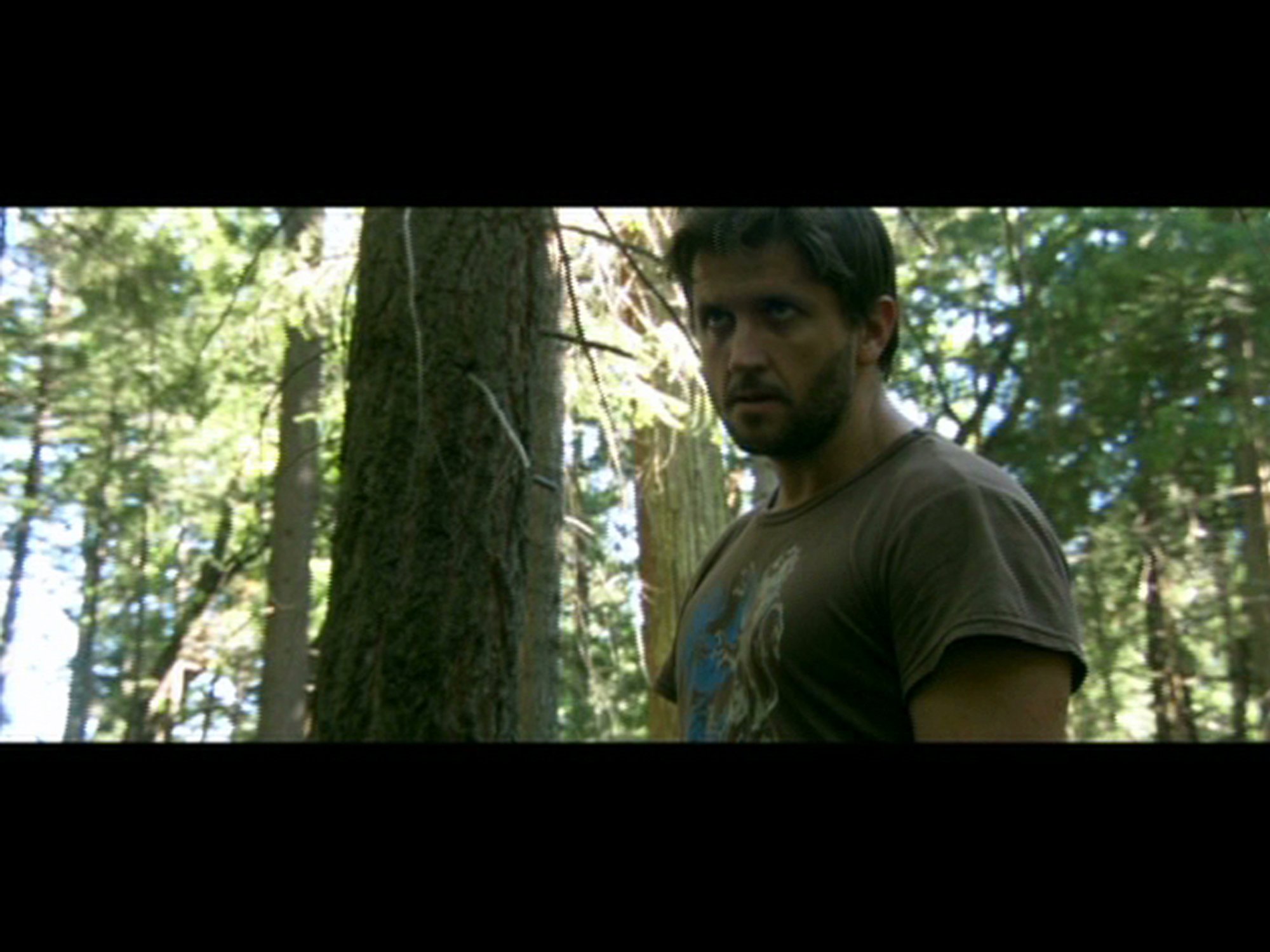 Фото - David Newham: 2000x1500 / 232 Кб