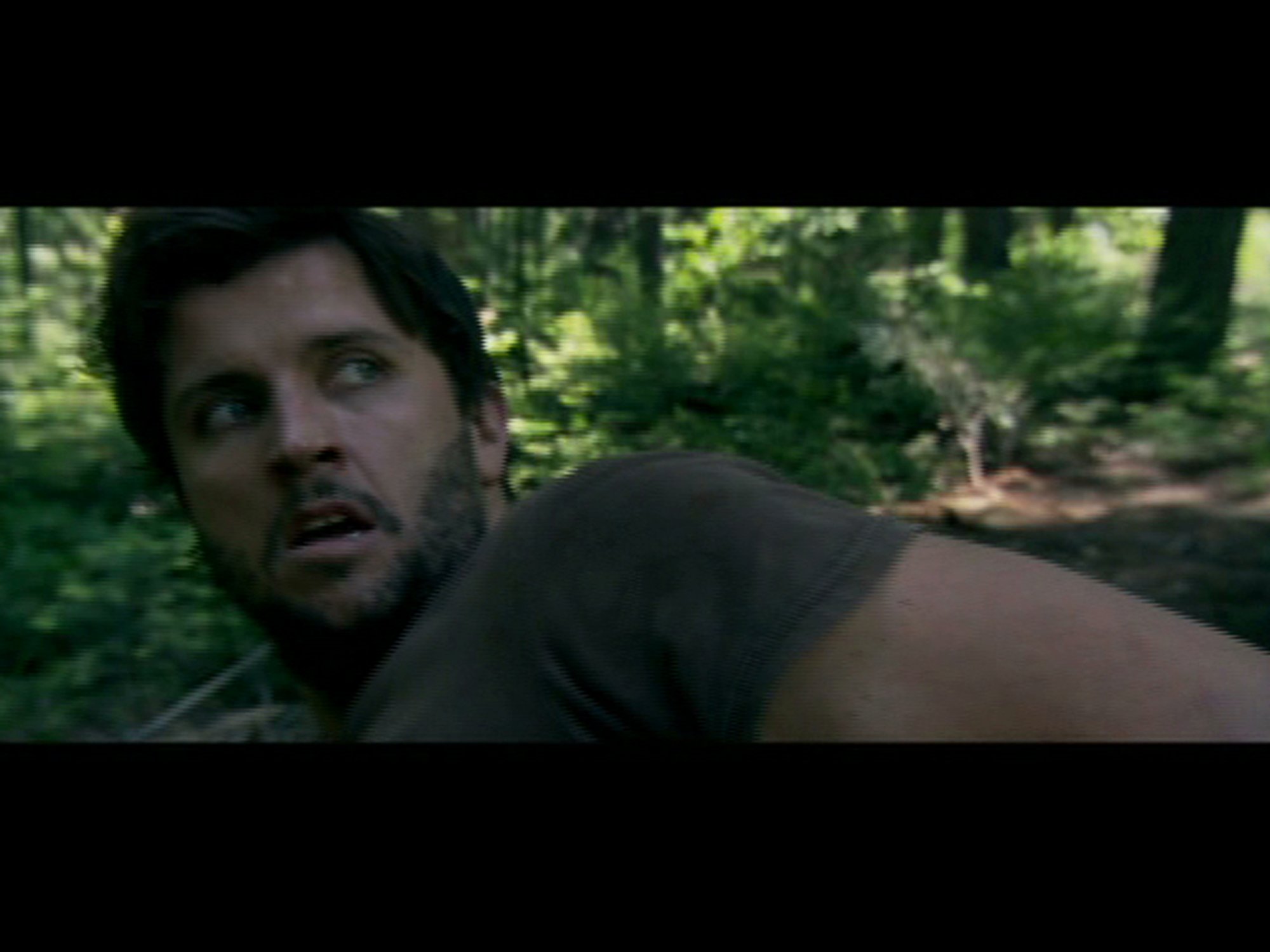 Фото - David Newham: 2000x1500 / 167 Кб