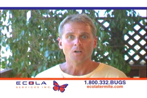 Фото - Lu Johnson: 480x320 / 36 Кб