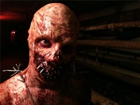 Фото - Robert Oppel: 480x360 / 29 Кб