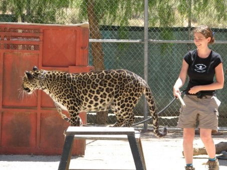 Фото - Mona Weiss: 453x340 / 48 Кб