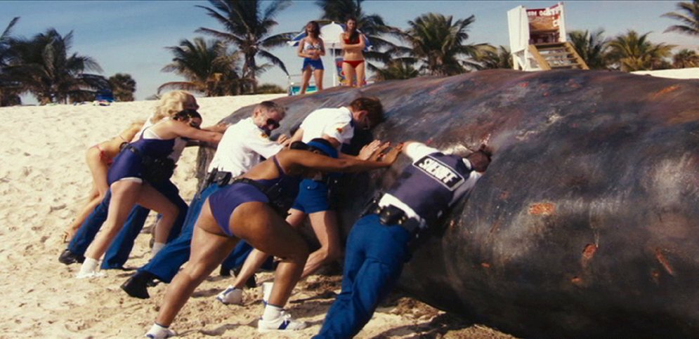 Фото - Венди МакЛендон-Кови: 995x483 / 98 Кб