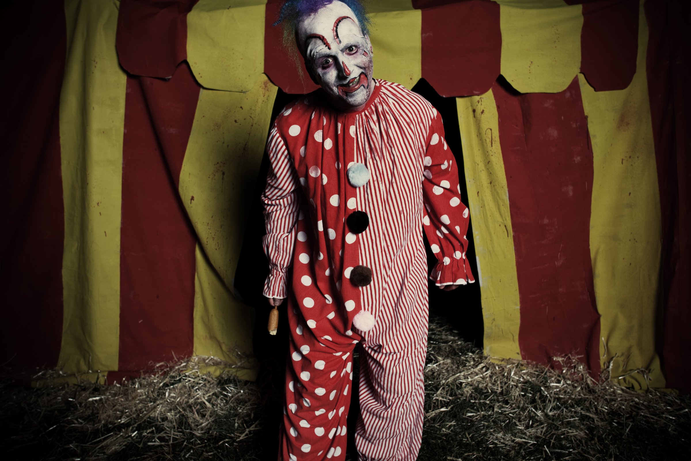 Фото - Matthew Corbett Davis: 2400x1600 / 500 Кб