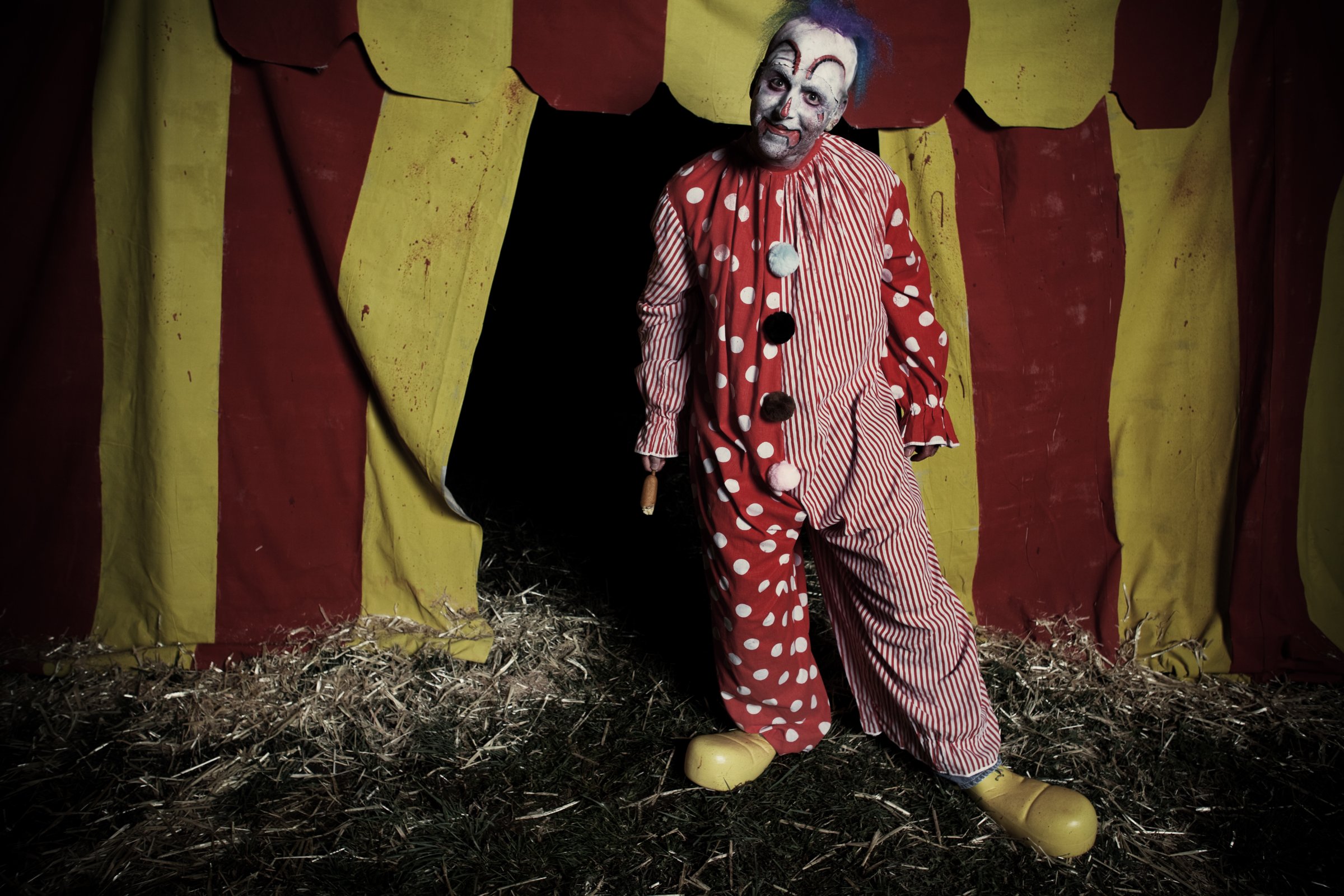 Фото - Matthew Corbett Davis: 2400x1600 / 583 Кб