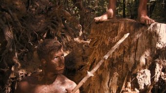 Фото - Matthew Corbett Davis: 340x191 / 22 Кб