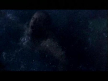 Фото - Christian Rose: 450x338 / 12 Кб