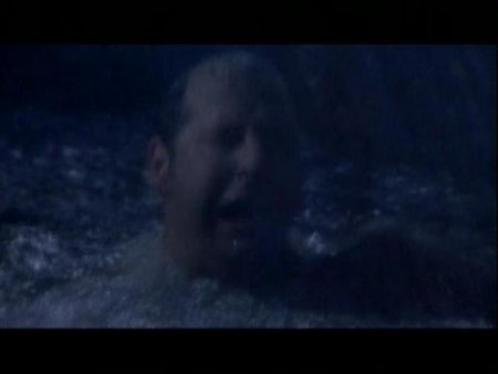 Фото - Christian Rose: 450x338 / 12 Кб