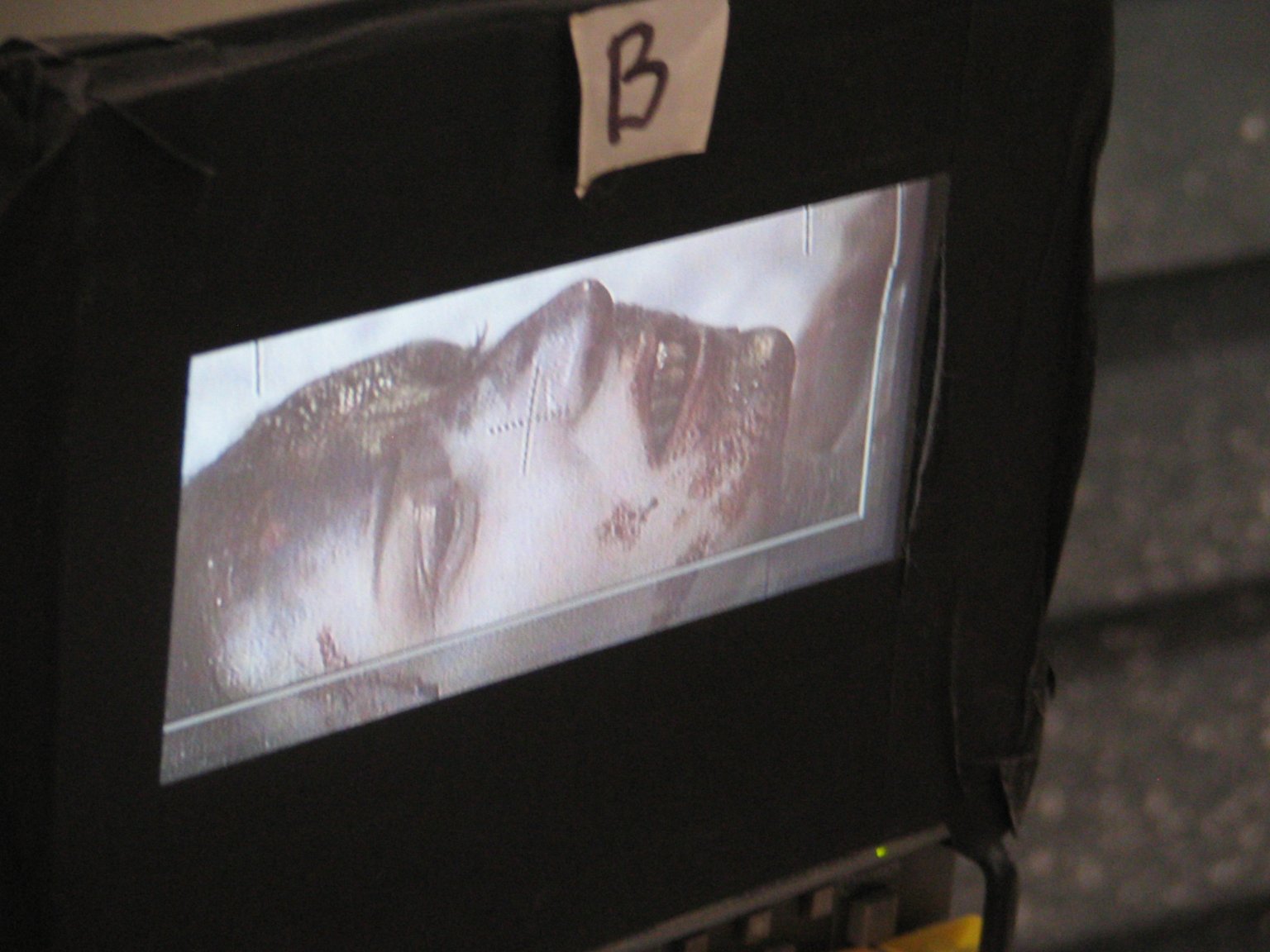 Фото - Megan Franich: 1536x1152 / 193 Кб