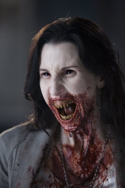 Фото - Megan Franich: 427x640 / 44 Кб