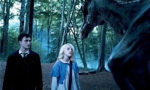 Фото - Эванна Линч: 301x181 / 19 Кб