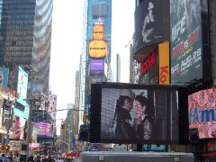 Фото - Dylan Saccoccio: 240x180 / 16 Кб