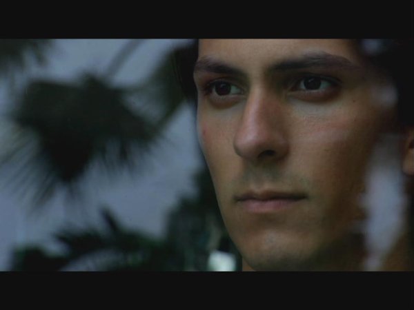 Фото - Dylan Saccoccio: 600x450 / 21 Кб