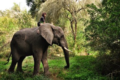 Фото - Танита Феникс: 401x266 / 47 Кб