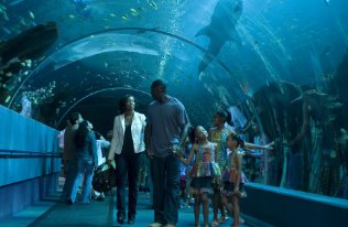 Фото - Чайна Энн МакКлейн: 316x206 / 18 Кб