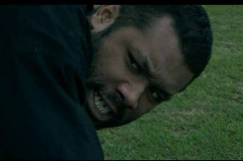 Фото - Stephen Armourae: 800x532 / 35 Кб