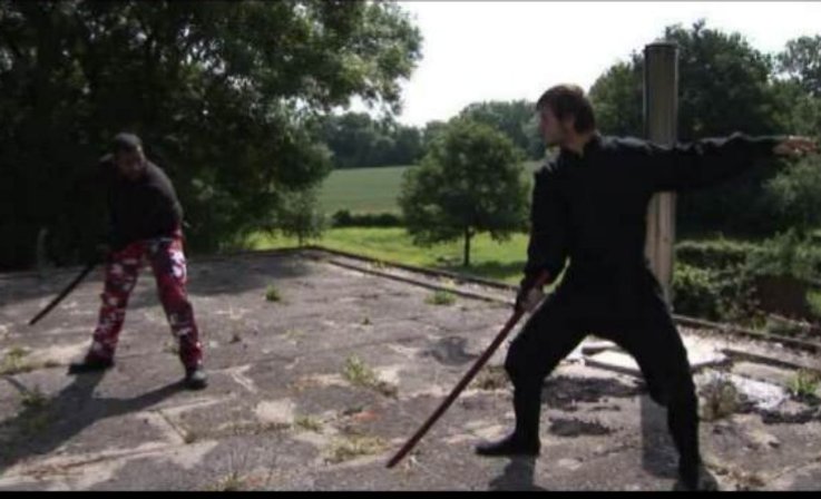 Фото - Stephen Armourae: 737x448 / 55 Кб