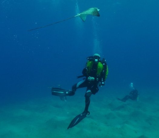 Фото - Johnny Lynch: 525x456 / 18 Кб