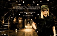 Фото - Bernadett Belinda York: 228x144 / 12 Кб