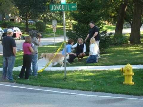 Фото - Bernadett Belinda York: 480x360 / 47 Кб