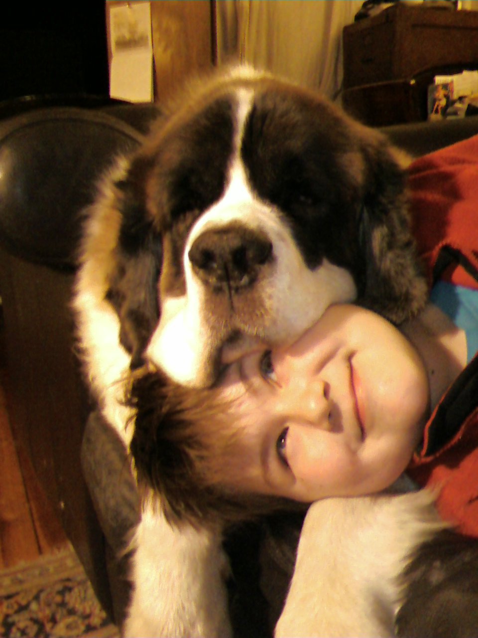 Фото - Конор Кэрролл: 960x1280 / 141 Кб