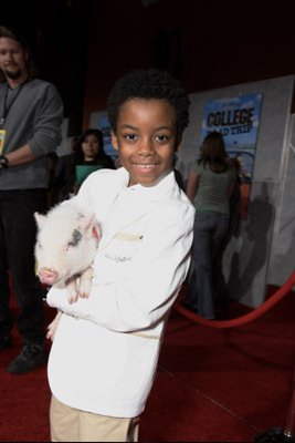 Фото - Eshaya Draper: 267x400 / 17 Кб