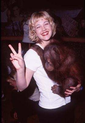 Фото - Дрю Бэрримор: 278x400 / 18 Кб