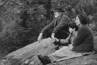 Фото - Танту Кардинал: 319x214 / 22 Кб