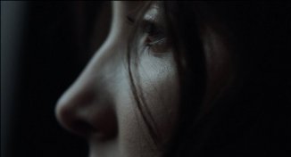 Фото - Корал Амига: 326x176 / 6 Кб