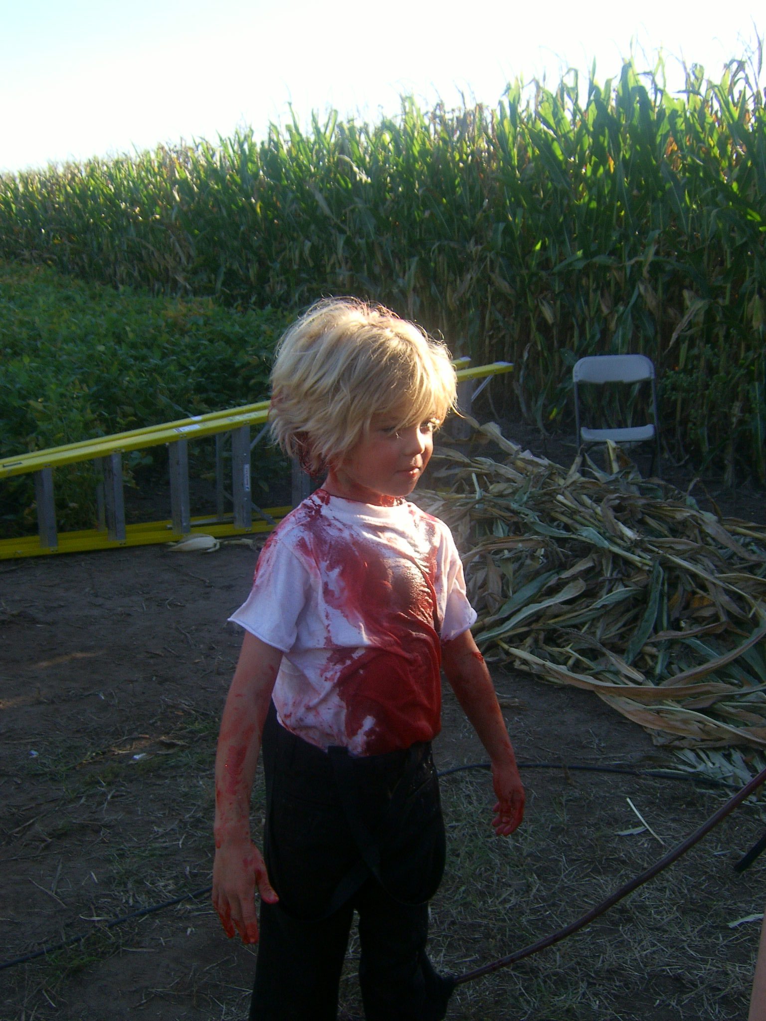 Фото - Пол Батлер: 1536x2048 / 488 Кб