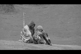 Фото - Logan C. Sayre: 320x213 / 12 Кб