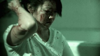 Фото - Синди Чу: 340x191 / 11 Кб