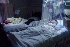 Фото - Дон МакКеллар: 299x199 / 16 Кб