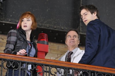 Фото - Эллисон Скальотти: 398x264 / 24 Кб