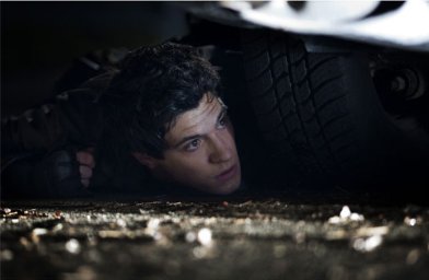 Фото - Дрю Рой: 392x256 / 15 Кб