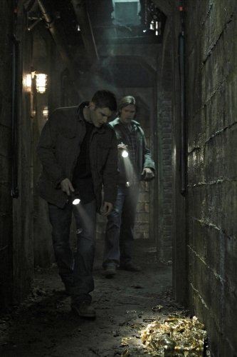 Фото - Джаред Падалеки: 333x500 / 31 Кб