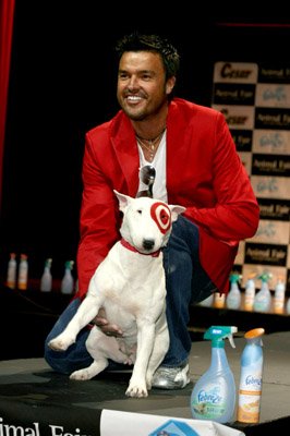 Фото - Майкл Молони: 266x400 / 25 Кб