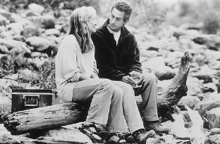 Фото - Дэвид Стрэтэйрн: 312x205 / 23 Кб