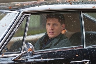 Фото - Дженсен Эклс: 333x222 / 23 Кб