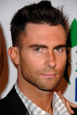 Фото - Адам Левин: 266x400 / 23 Кб