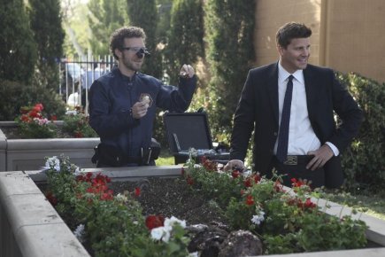 Фото - Ти-Джей Тайн: 435x290 / 33 Кб